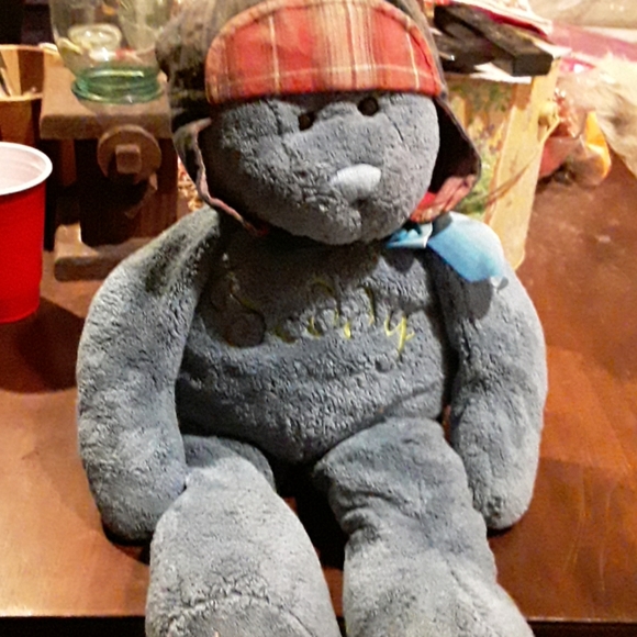 Blue  Teddy Bear stuffed Other - TEDDY BEAR STUFFED,  AND BEANS.